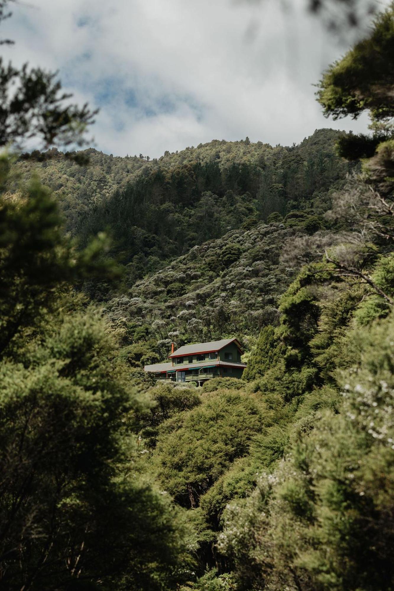 Buffalo Lodge Coromandel Ngoại thất bức ảnh