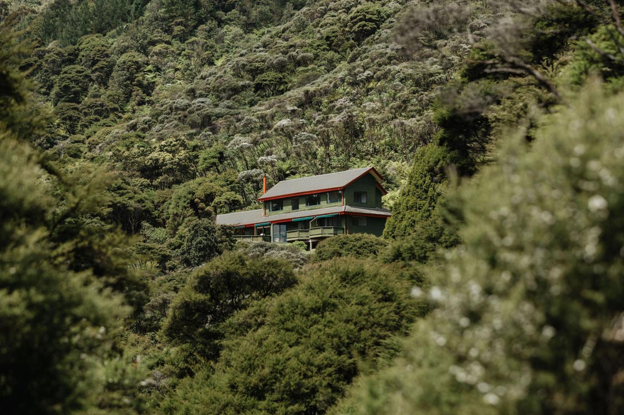 Buffalo Lodge Coromandel Ngoại thất bức ảnh